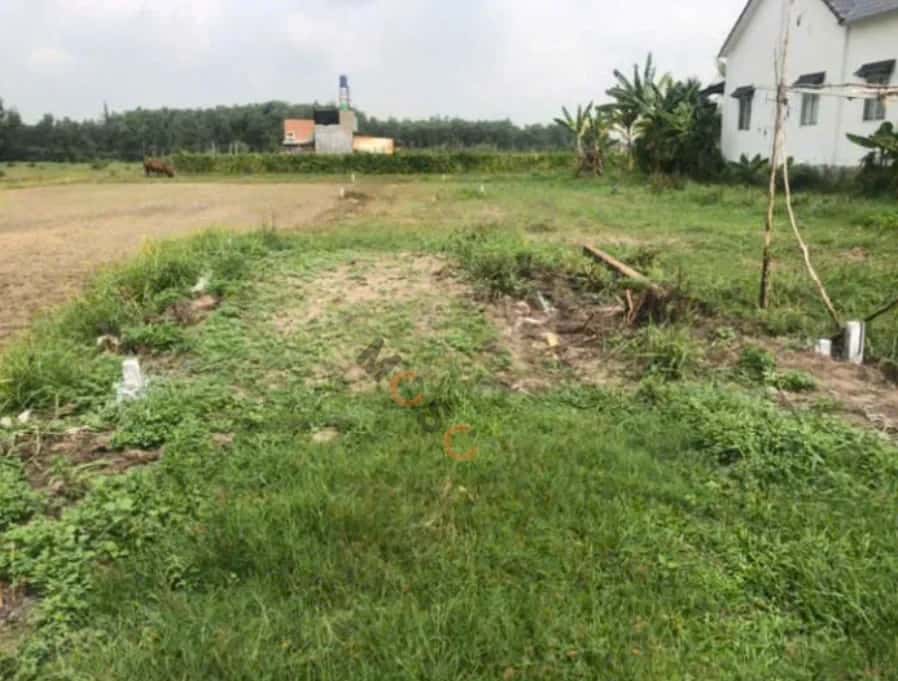 Bán đất Ấp Rừng Dầu  Huyện Đức Hòa, Long An – giá 1.1 tỷ - ảnh 1